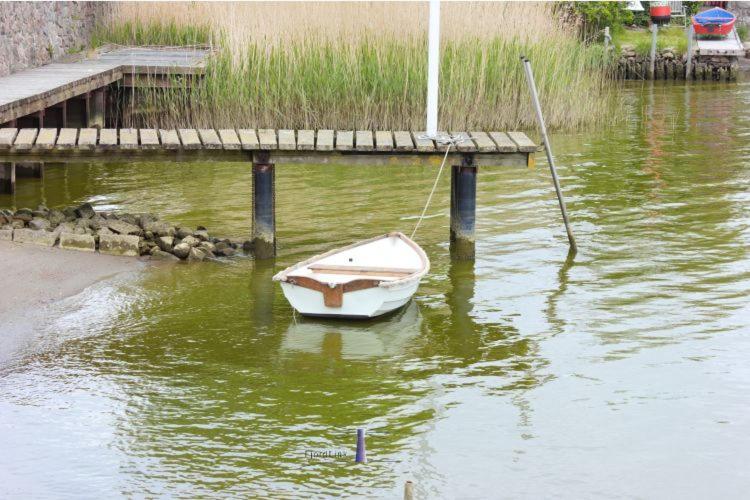 Hausboot Fjord Aries Mit Dachterrasse In Schleswig Otel Dış mekan fotoğraf